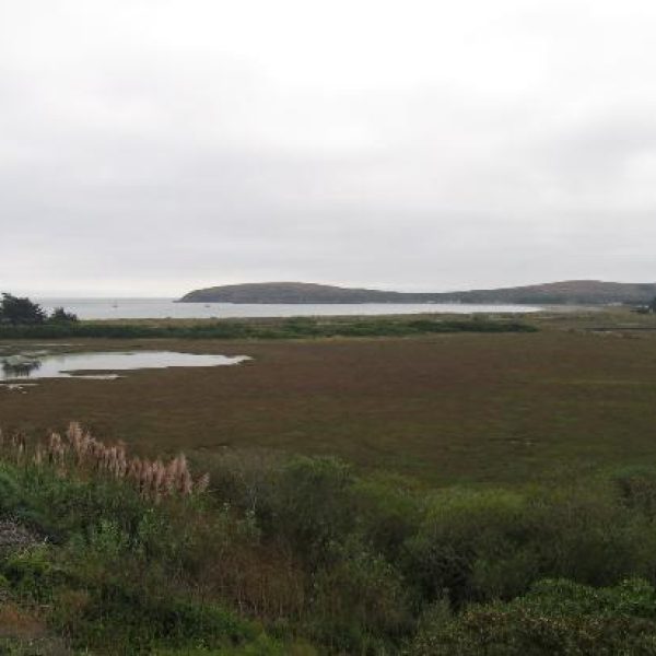 wetlands-view-from-our